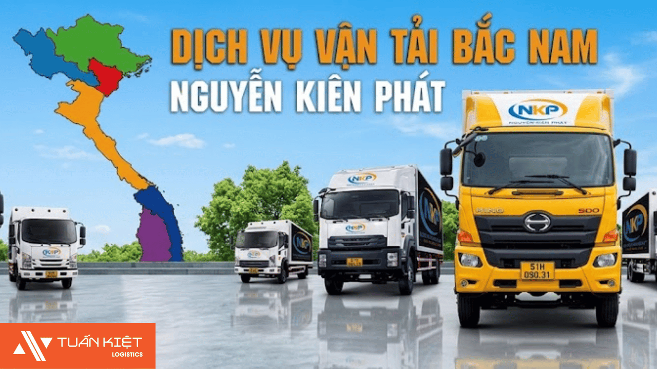 Tư vấn thuê xe